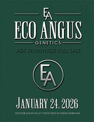 Eco Angus Sale Book